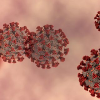 Coronavirus