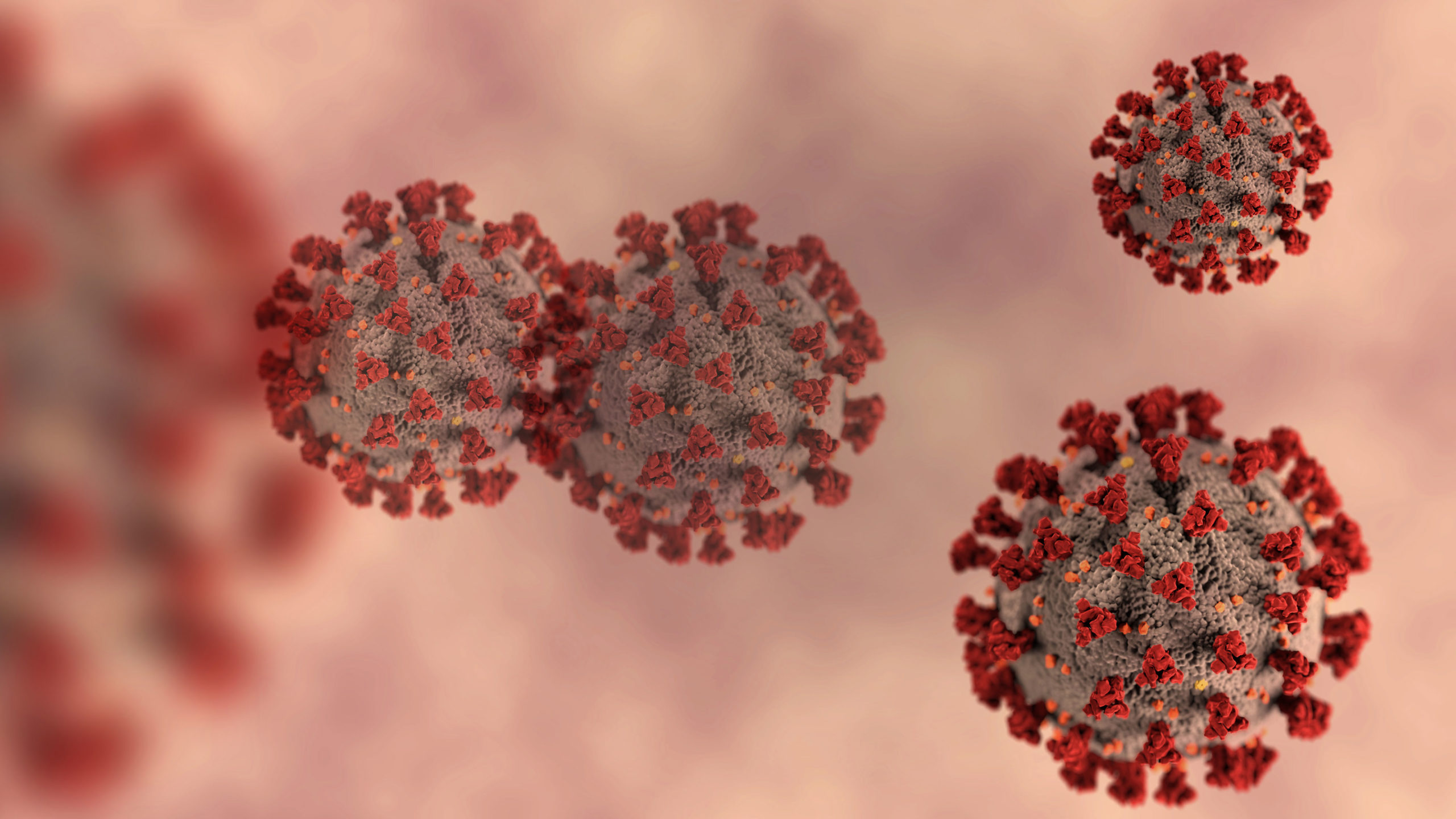 coronavirus-and-older-people-in-leeds-information-and-support-leeds