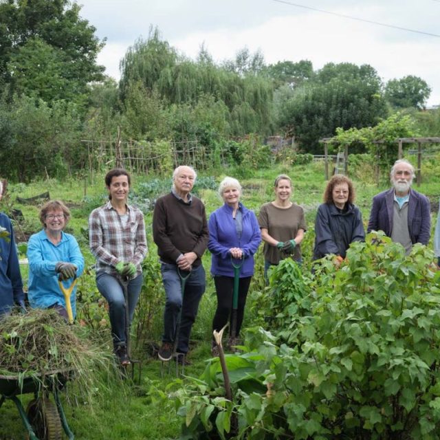 Volunteers, with gardening tools, at an allotment