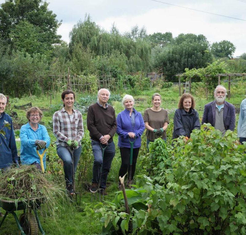 Volunteers, with gardening tools, at an allotment