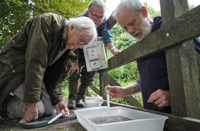 Three older men thinking and working together on a practical task.