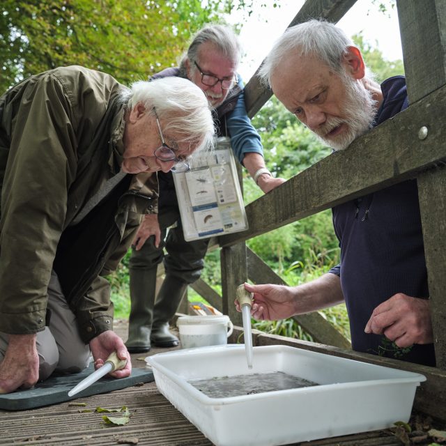 Three older men thinking and working together on a practical task.