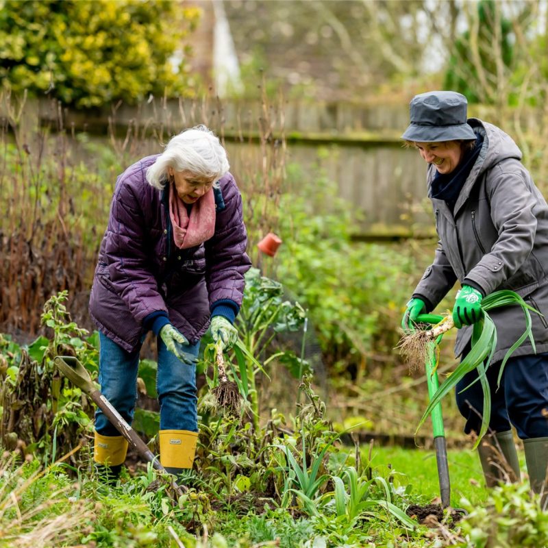 Two older women enjoying gardening together